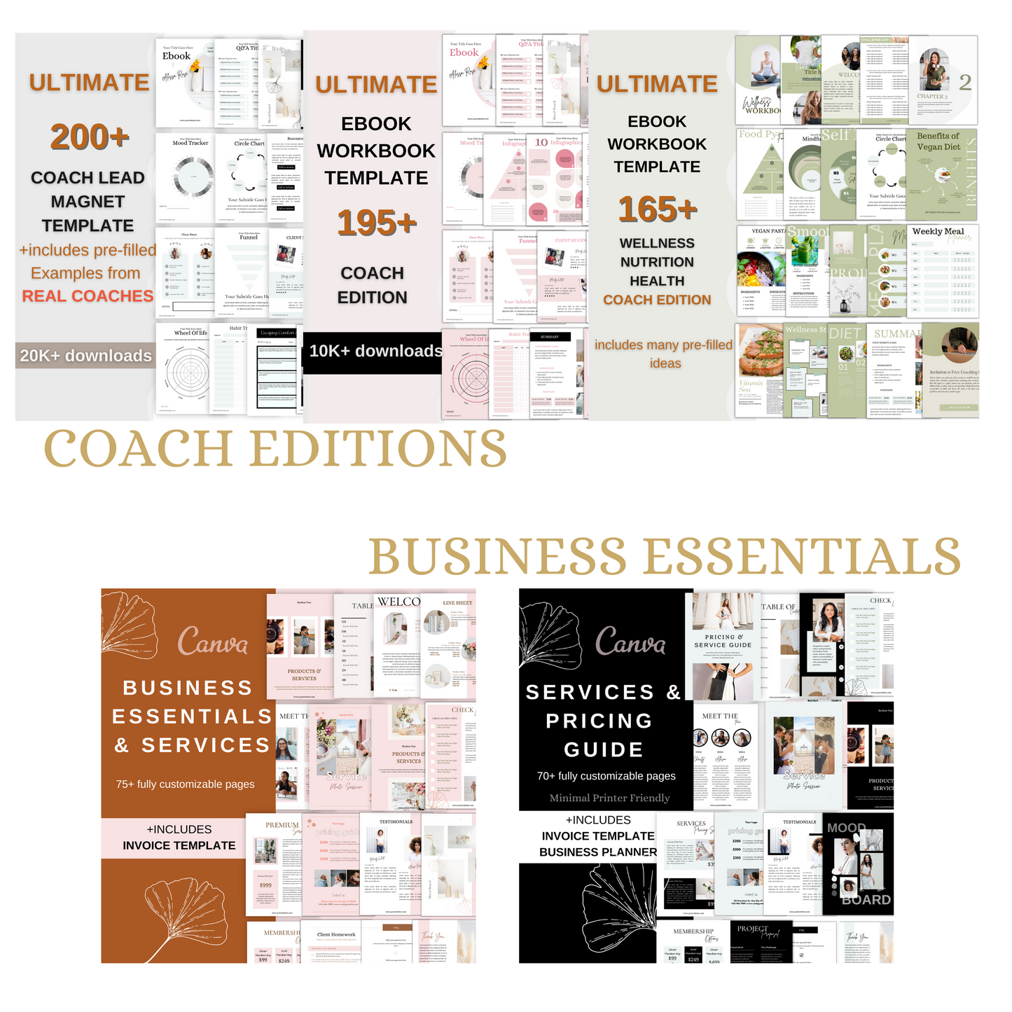 45+ Ebook  workbook leadmagnet