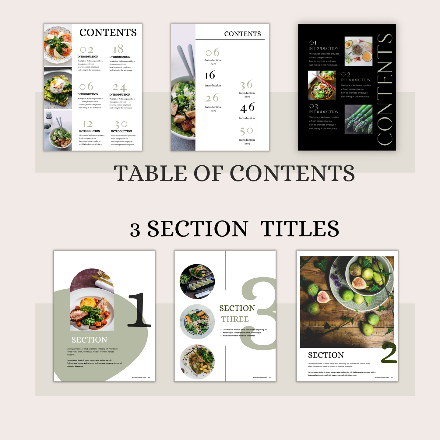 60+ Recipie Cookbook template