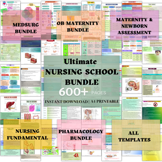 Ultimate Nursing School Bundle - 666 pages