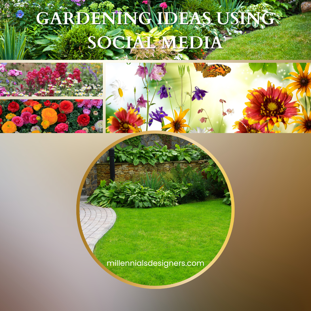 Gardening Ideas using Social Media