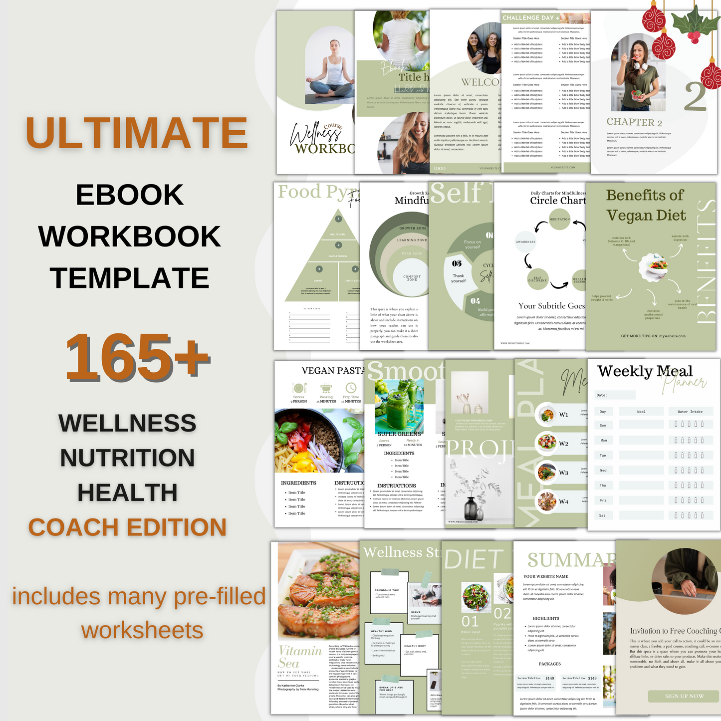 Ebook template, workbook template canva, online coach, course creator, online course, coaching, wellness coach, health coach, nutritionist