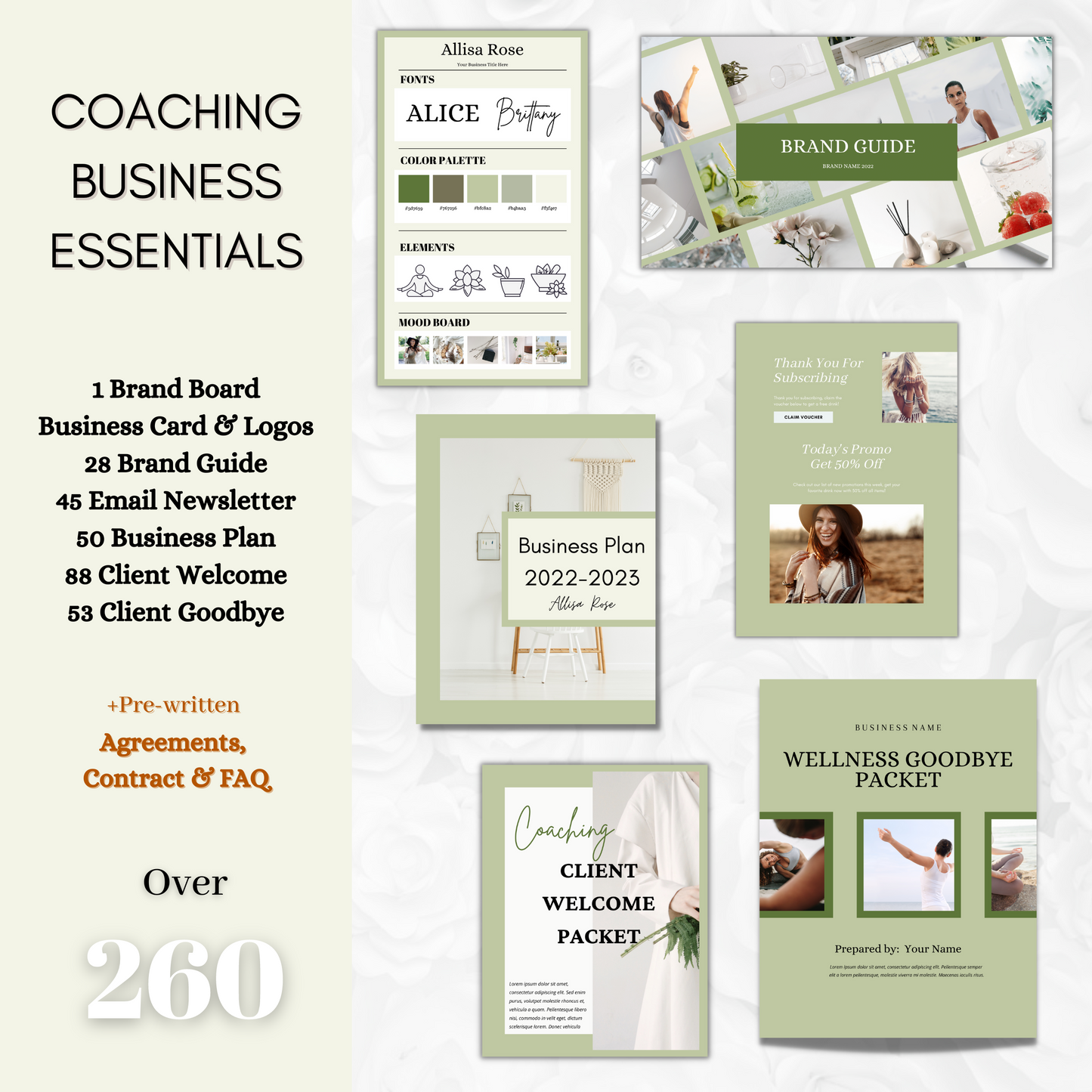 1600+ Wellness and Health Coaching templates, ebook template, webinar, online course, coaching program, coaching package template, online coach