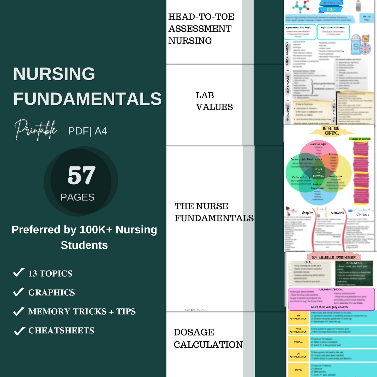 Ultimate Nursing School Bundle - 666 pages