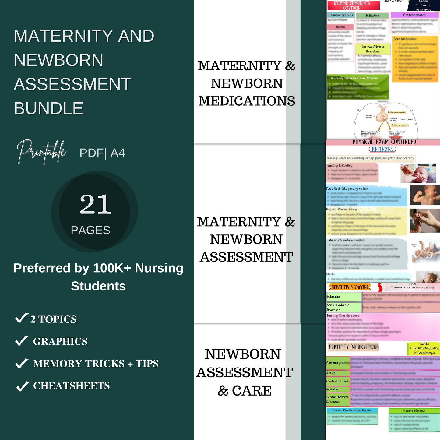 Ultimate Nursing School Bundle - 666 pages